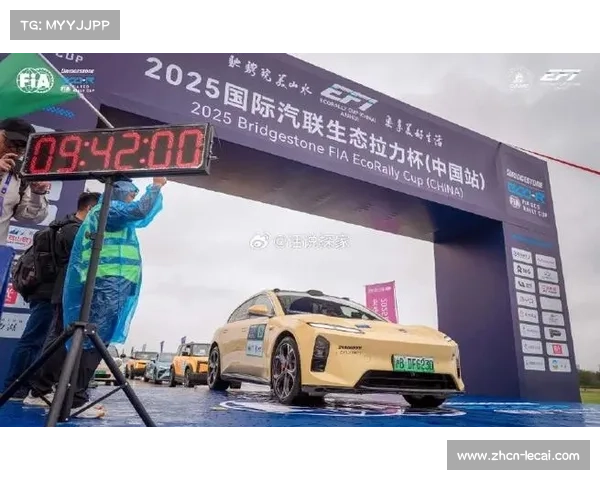 国际汽联技术规则严查赛车合规性，中国站双车取消成绩敲响警钟